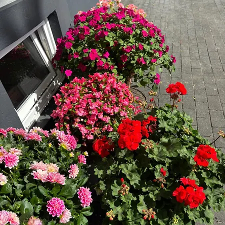 Gaestehaus Appartement Kronshagen