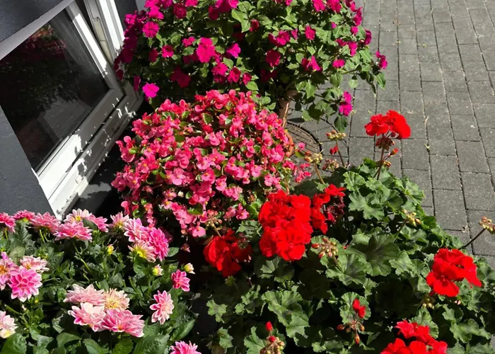 Gaestehaus Lejlighed Kronshagen